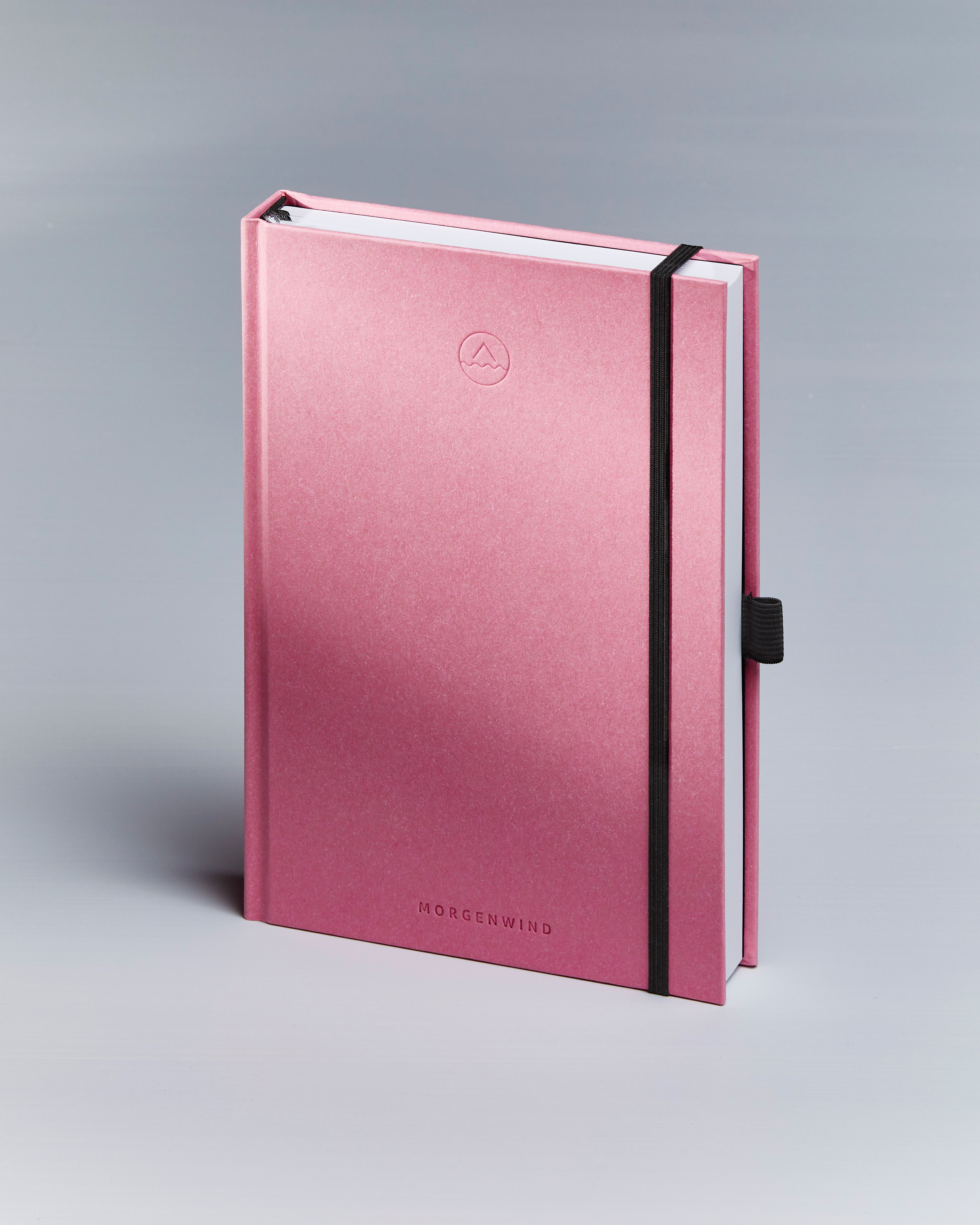 Produktbild Bullet Journal 120 g Farbe Hellrosa